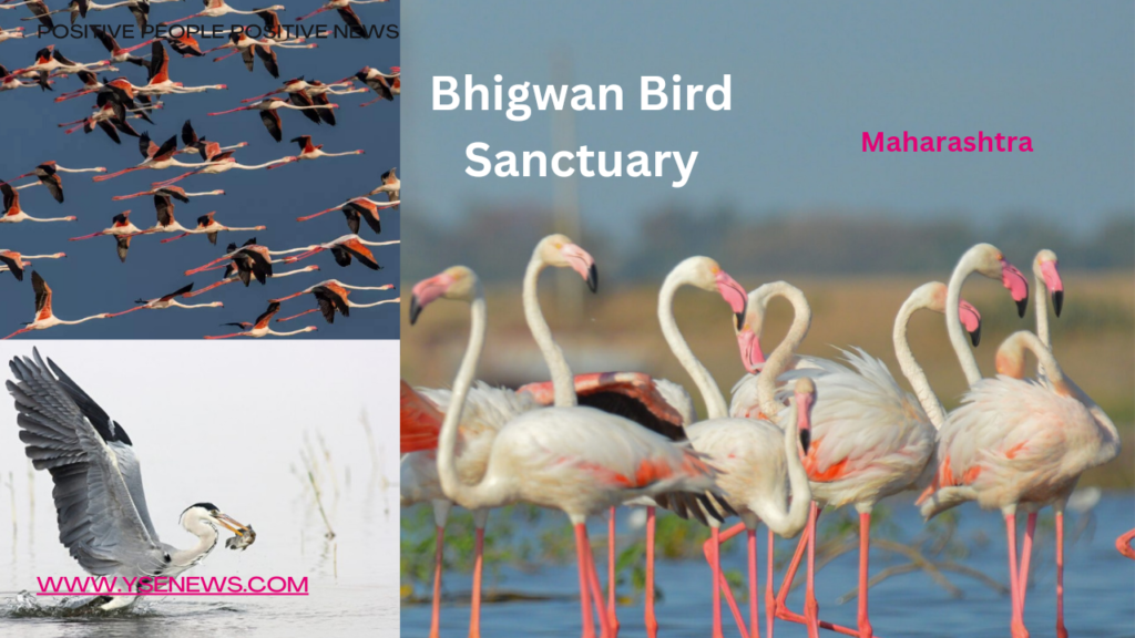 Bhigwan Bird Sanctuary Tourist places near pune within 100 km