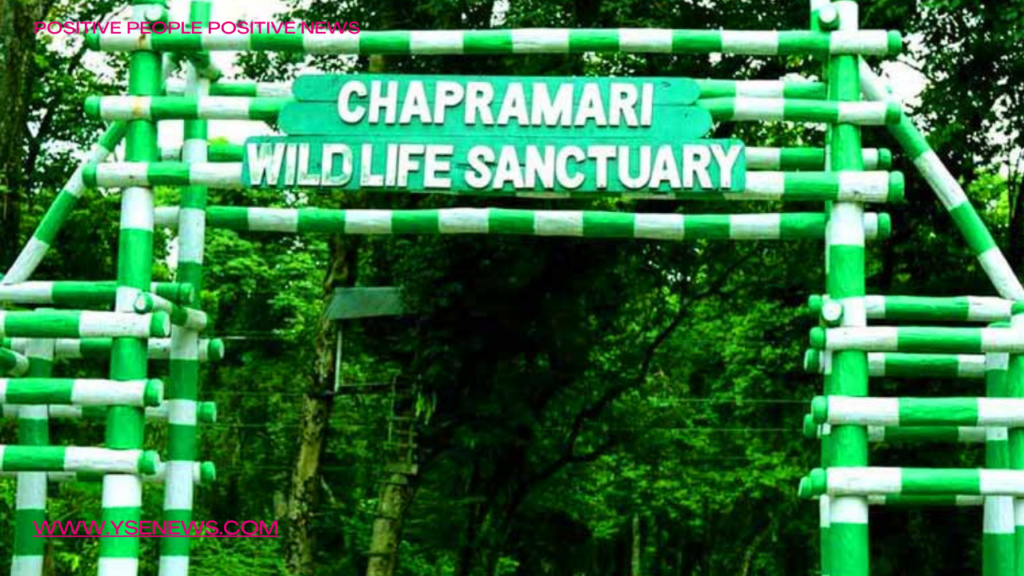 chapramari wildlife sanctuary. Best places near siliguri